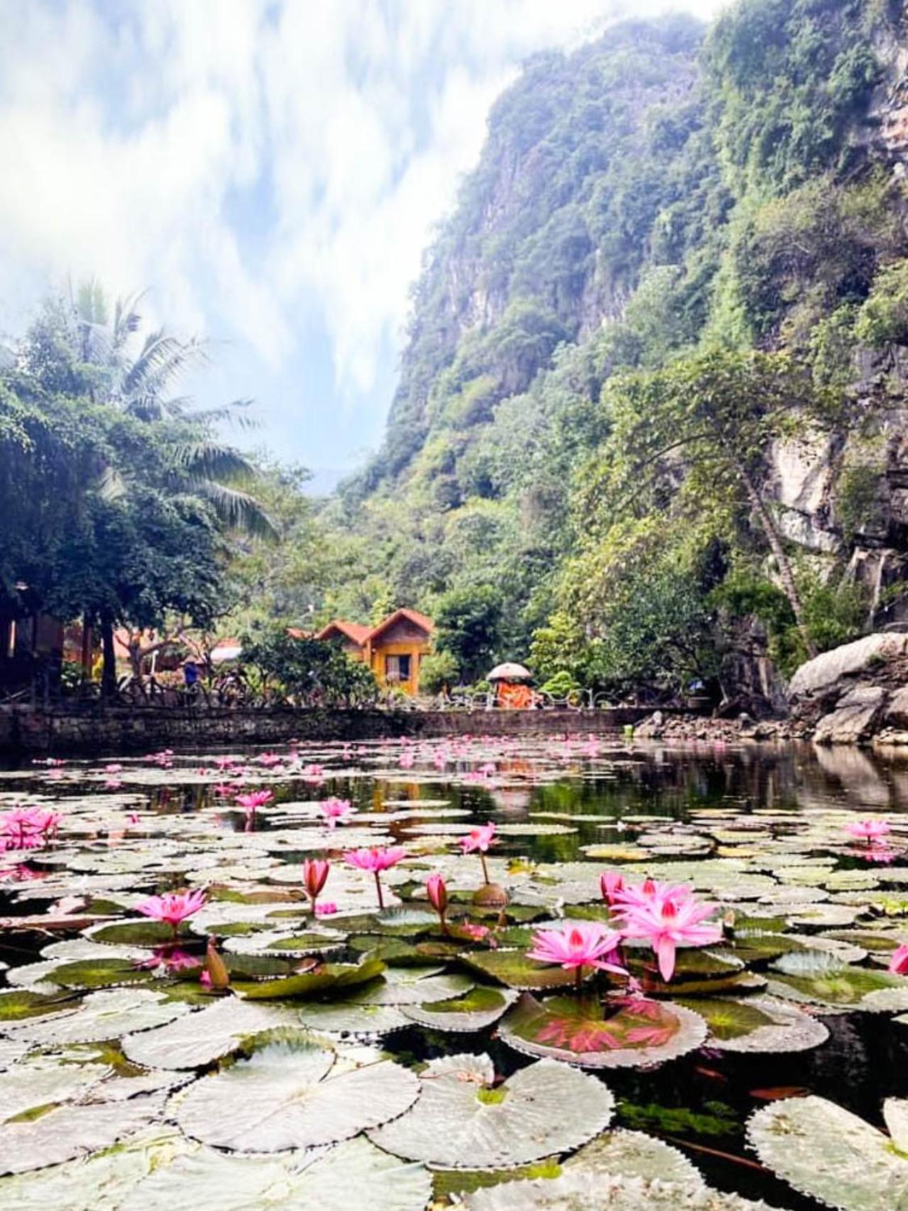 Tam Coc Rocky Bungalow Νιν Μπιν Εξωτερικό φωτογραφία